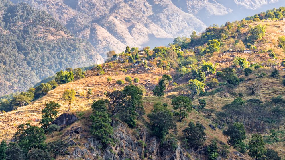 Himalayan foothills India